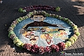 VBS_9753 - Infiorata Santuario della Madonnina di Villanova d'Asti 2024